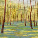 소나무 풍경 이미지