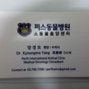퍼스동물병원 이미지