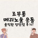르무통 메리노울 운동화 솔직후기 | 3개월 착용 경험담과 장단점 총정리