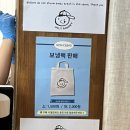 땡글베이커리 | 서울 빵집투어 망원동 맘모스빵 맛집 [어글리 베이커리] 방문 후기 빵지순례 다녀왔어요