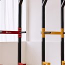 마스터킹 | 🏋️‍♂️ 멜킨 마스터킹 치닝디핑 vs 바디리더 실내 철봉 — 안정성 vs 가성비, 내 집에 딱 맞는 건?