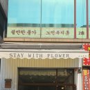 스테이위드플라워