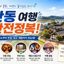 제5회 2020 청소년페스티벌 | 안동 여행 완전정복 2026 — 하회마을·도산서원·월영교 1박 2일 코스 총정리