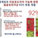 스킨스퀘어드