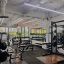 더굿짐 | 금정역 헬스장 추천 더굿짐 / 월간 보험소식지