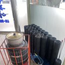 석정복어 이미지