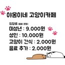 야옹이네 고양이카페 네이버블로그