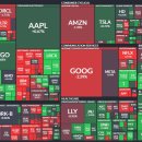 ㈜스카이벤처코리아 | 화학섬유 관련주 강세 및 장마감(2026.02.12목)