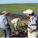 신문농장 이미지