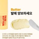 소담하개 이미지