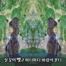 [중디노래교실 .12 윤이나 작사 ㅡ봄마다 네가 핀다 이미지