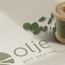 베이직홀릭