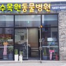 수목원동물병원 네이버블로그