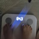 양팀장 김밥 | 2026.02.02~02.08 주(酒)간일기 : 서아 술파티 / 첫 데모시연 / 홍대 술데이트