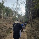 제주 선흘리 거문오름 | [제주2025] 거문오름 1, 2코스 탐방 후기