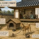 현대가축병원 | 조선시대 개는 집 밖에서 키웠을까
