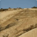 천병약수터 이미지