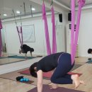 차크라요가명상센터 | 평내동요가 차크라요가 남양주센터 후기｜낮은 해먹으로 코어에 집중한 플라잉요가 수업