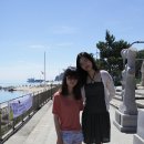 정동진놀자 이미지