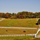 한양목장 이미지