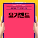 요가(초급) | 코코링하우스 요가밴드 초급용 스트레칭 2P 후기와 사용 경험