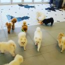 잇츠 소미 스타일 이미지