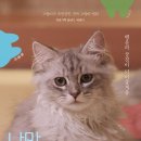 나만없어고양이 이미지