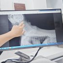 이안동물의학센터 | 강아지MRI 비용 마취 검사후기 f.이안동물의학센터