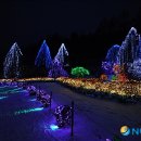 빛의 정원 - 20 이미지