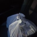 마왕족발대구감삼역점 | 마왕족발 대구감삼역점 족발&amp;보쌈 반반세트 먹어본 후기