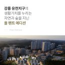 (주)대명종합건설 | 대명 에르노레인 강남 유천지구 회사보유분 특별분양 정보