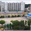 포항동부초등학교 이미지