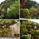 청량산 참 민박 이미지