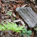 서리상반고려백자요지 이미지