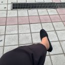 황금알복권 이미지