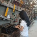 [제주 서귀포 여행/제주투어패스] 쇠소깍 산물 관광농원 포토존 코스 완벽 정리/처가집 연탄구이 후기