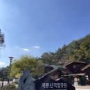 대전｜계룡산 수통골 금수봉 빈계산 등산코스, 실시간 단풍