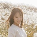 Plan.D(플랜디)