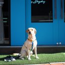 스페이스바이샤샤 이미지