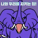 피프티핏 네이버블로그