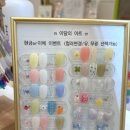 소피아네일 이미지