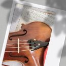 어린이 바이올린 주말 이미지