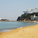 정동진 Daum카페