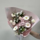 빈꼬옷