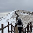 [100대명산] 026. 비로봉 찍는 소백산 어의곡 코스, 설산 소요시간 및 난이도