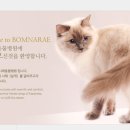 봄나래동물병원 이미지