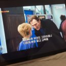 디위드동물병원 이미지