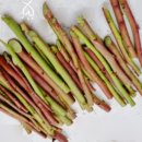 성수문량길 이미지