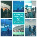 국립해양박물관 이미지