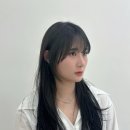 노트헤어